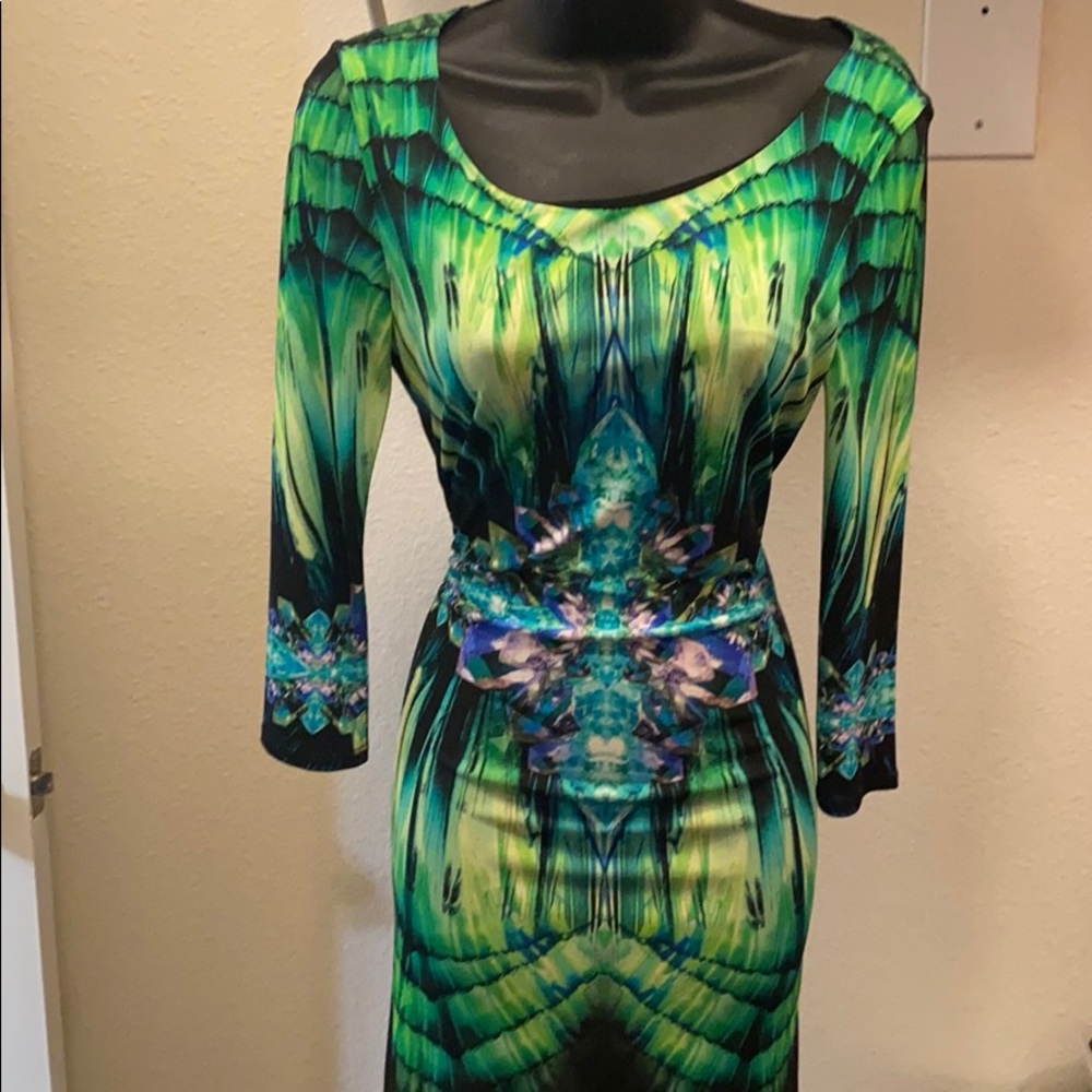 Roberto Cavalli Fitted Dress